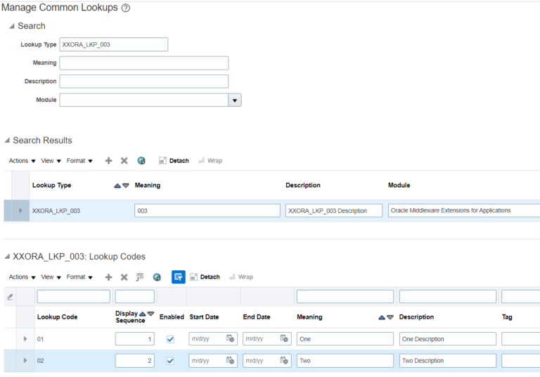 Bulk Upload Lookup Types and Lookup Codes – Oracle Fusion ERP – Tech ...